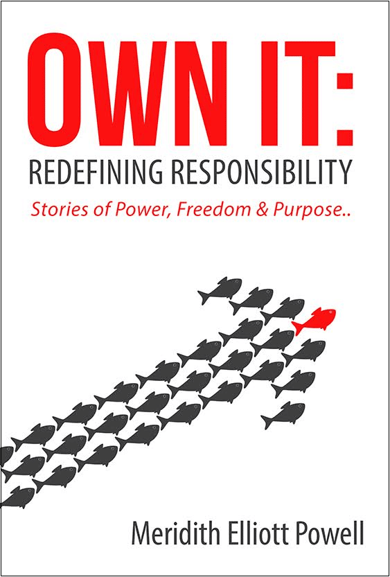 Own It Book Cover with lines